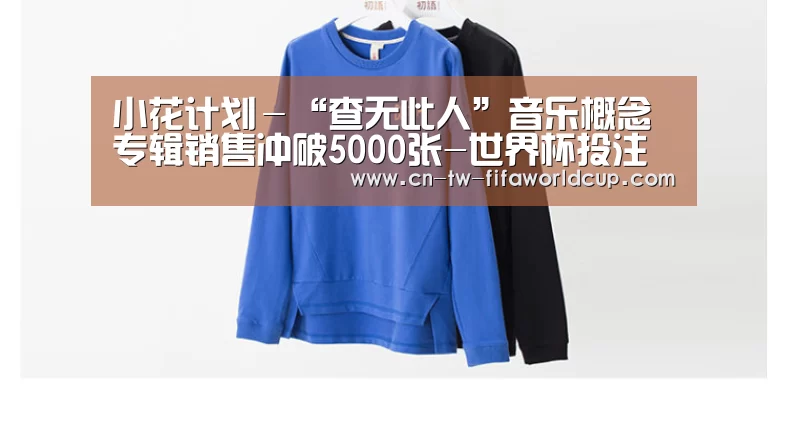 小花计划－“查无此人”音乐概念专辑销售冲破5000张-世界杯