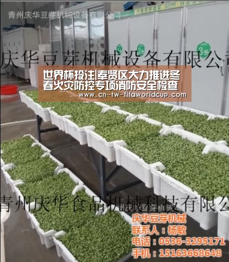 世界杯投注