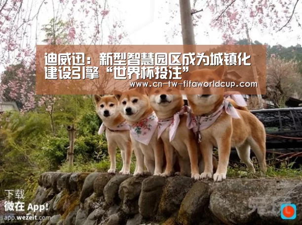 迪威迅:新型智慧园区成为城镇化建设引擎“世界杯投注”(图2) 世界杯投注
