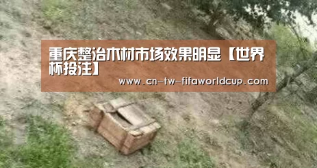 世界杯投注